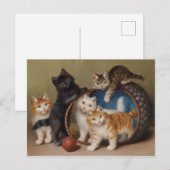  katten geven Sophie Sperlich de rode bal Briefkaart (Voorkant / Achterkant)