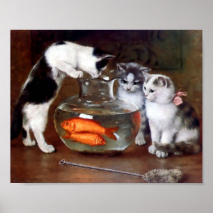 Katten Gevist in Goldfish bowl Poster