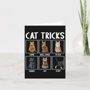 Katten Grappige Kat Tricks Kaart