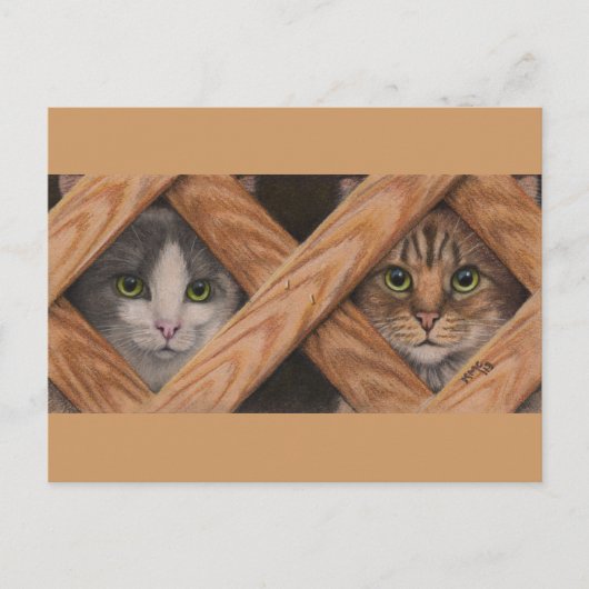 Katten Grijze tablet achter briefkaart van het omh (Voorkant)