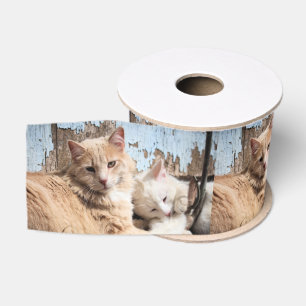 Katten Grosgrain Lint