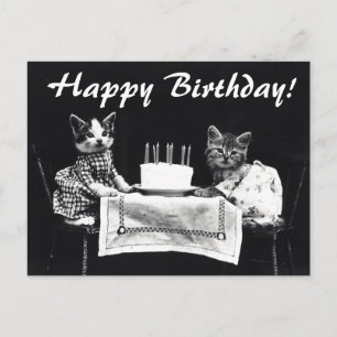 katten Happy Birthday Briefkaart