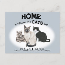 Katten hebben Briefkaart verplaatst