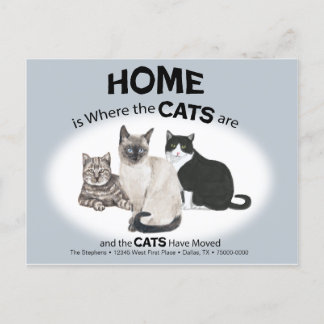 Katten hebben Briefkaart verplaatst