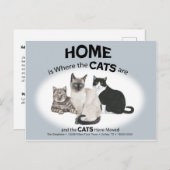 Katten hebben Briefkaart verplaatst (Voorkant / Achterkant)