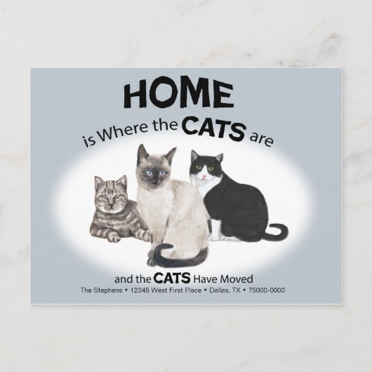 Katten hebben Briefkaart verplaatst (Voorkant)