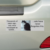 Katten hebben goede herinneringen bumpersticker (Op auto)