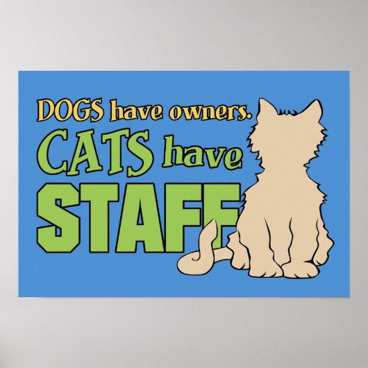 KATTEN HEBBEN poster VOOR PERSONEELSLEDEN (Voorkant)