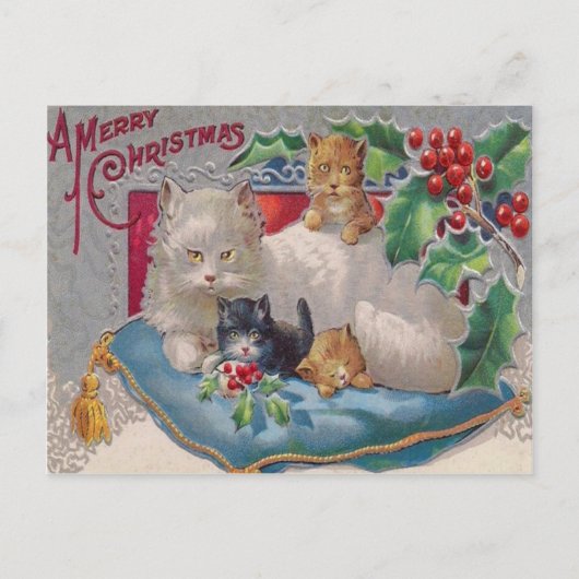 Katten & Holly Briefkaart (Voorkant)