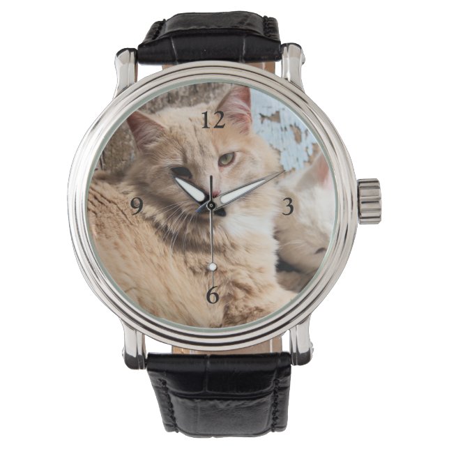 Katten Horloge (Voorkant)