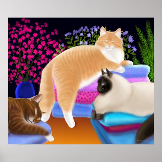 Katten houden van schoon wasgoed Poster (Voorkant)