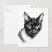 Katten Houtskool Briefkaart (Voorkant / Achterkant)