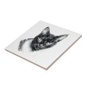 Katten Houtskool Tegeltje (Zijkant)