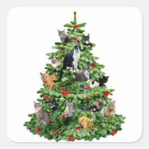 Katten in de boom vierkante sticker
