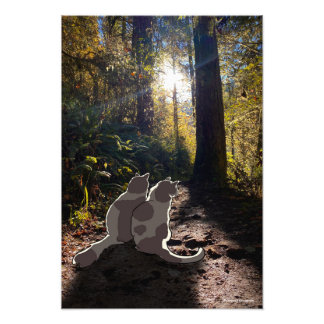 Katten in de bossen van Oregon Foto Afdruk