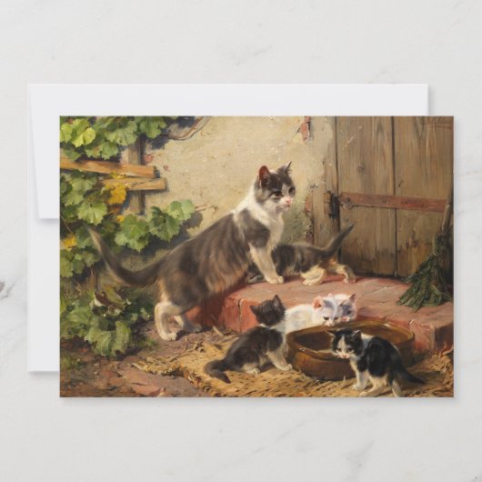 Katten in de melkschaal | Julius Adam de Jongere Kaart (Voorkant)
