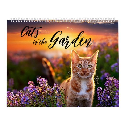 Katten in de tuin kalender (Hoes)