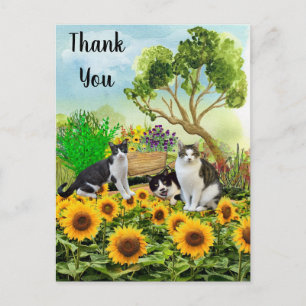 Katten in de tuin / zonnebloem bedank collage briefkaart