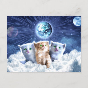 Katten in de wolk briefkaart