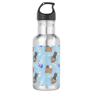 Katten in doos en melkdruppels op blauw waterfles