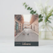 Katten in Douma Libanon Briefkaart (Staand voorkant)