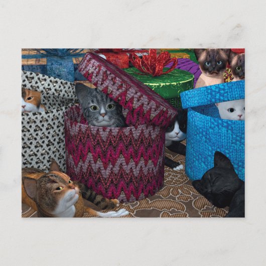 Katten in dozen briefkaart (Voorkant)