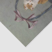 Katten in een mandje van Sophie Sperlich Tissuepapier (Detail)