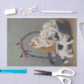 Katten in een mandje van Sophie Sperlich Tissuepapier (Craft)