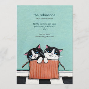 Katten in een verpakkingsdoos   Nieuwe kennisgevin Aankondiging