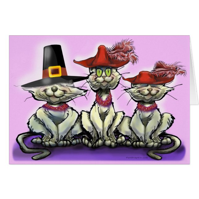 Katten in Funny Petten (Voorkant Horizontaal)