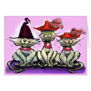 Katten in Funny Petten