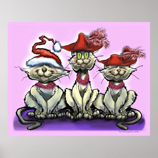 Katten in Funny Petten Poster (Voorkant)