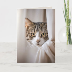 Katten in gordijn verjaardag humor kaart