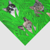 Katten in grammofoonpapier tissuepapier (Detail)