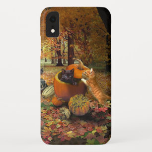 Katten in het najaar 😸 iPhone XR hoesje