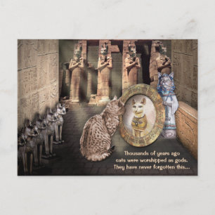 Katten in het oude Egypte Briefkaart