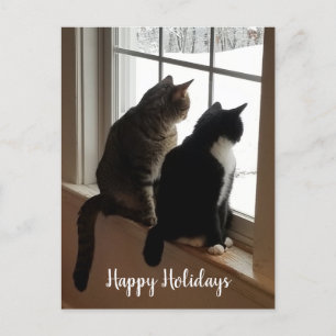 Katten in het venster briefkaart