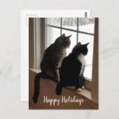 Katten in het venster briefkaart (Voorkant / Achterkant)