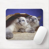 Katten in papieren zak muismat (Met muis)