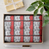 Katten in rood tissuepapier (Geschenk)