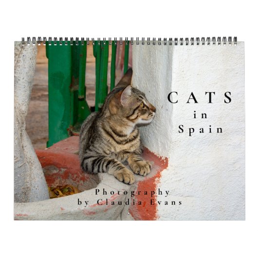 Katten in Spanje Kalender (Hoes)
