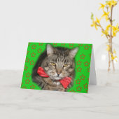 katten kaart (Gele Bloem)