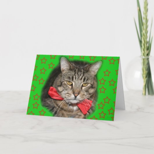 katten kaart (Voorkant)