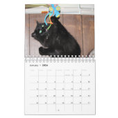 Katten Kalender (Jan 2026)