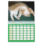 Katten Kalender (Mar 2027)