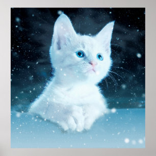 Katten kat sneeuwkunst dierlijke natuur poster