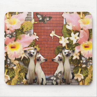 katten katten houden van bloemen muismat