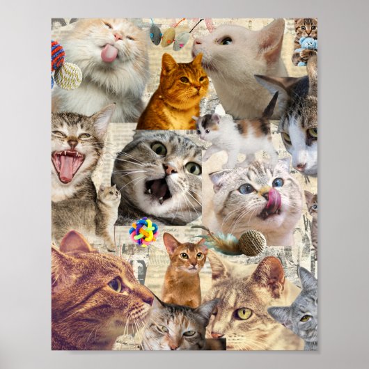 Katten katten katten... Kat Collage Poster (Voorkant)