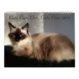Katten, Katten, Katten, Katten, Kalender 2023
