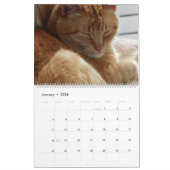 Katten, Katten, Katten, Katten, Kalender 2023 (Jan 2026)